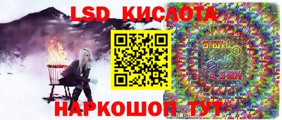 прущие крисы Кингисепп
