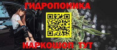 прущие крисы Кингисепп