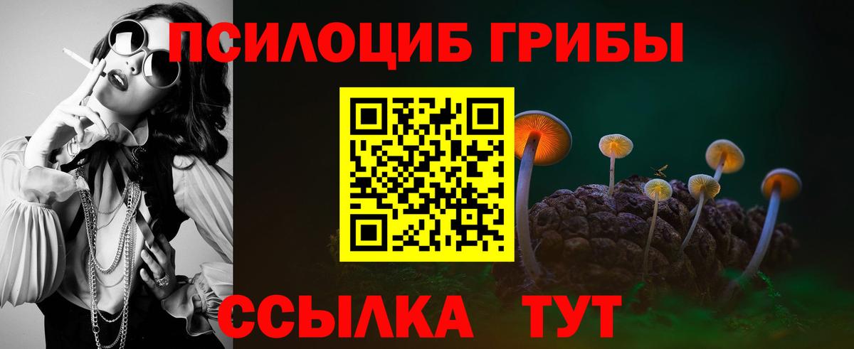 Галлюциногенные грибы GOLDEN TEACHER Елец